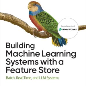 Building Machine Learning Systems with a Feature Store: Batch, Real-Time and LLM Systems