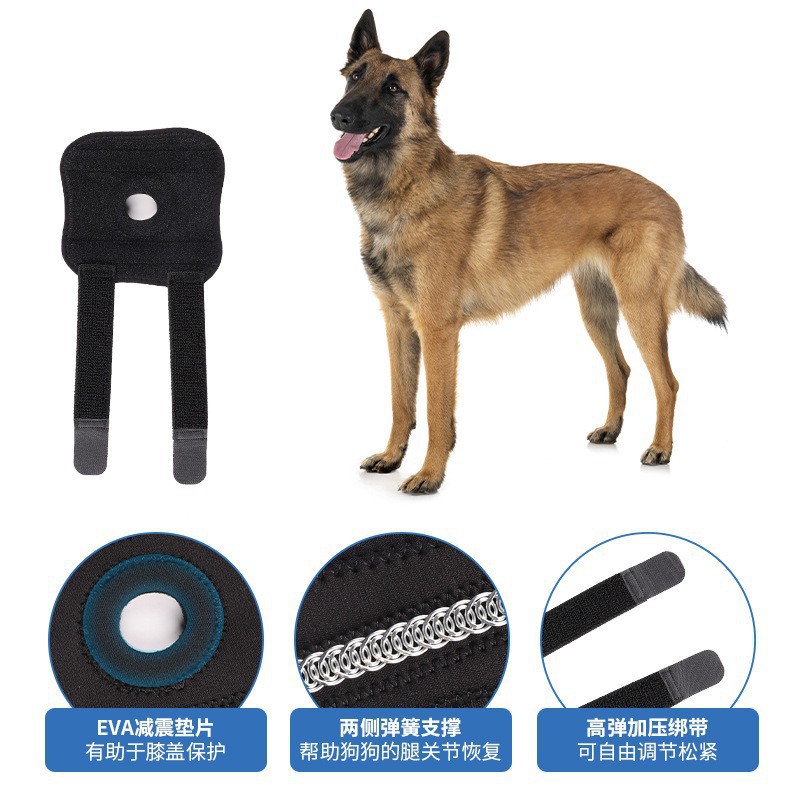 Pet Dog Leg Joint Knee Brace Patella Support Recovery Protector for Dogs Cats - Image 2