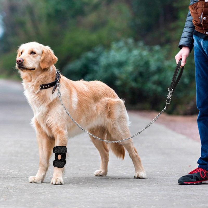 Pet Dog Leg Joint Knee Brace Patella Support Recovery Protector for Dogs Cats - Image 3