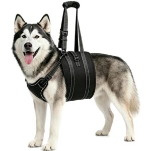 Dog Assist Lifting Harness for Disabled Medium Large Dogs Rehab Walking Aid with Chest Back Leash
